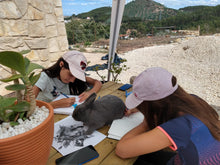 Carregar imagem no visualizador da galeria, 🎨 Atelier de Artes na Natureza – Mafra