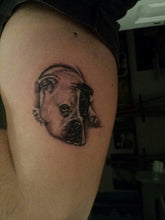Carregar imagem no visualizador da galeria, Tattoos (vegan) - dimensões gerais