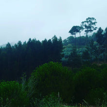 Carregar imagem no visualizador da galeria, 🎨 Atelier de Artes na Natureza – Mafra