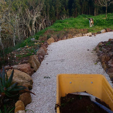 Carregar imagem no visualizador da galeria, 🎨 Atelier de Artes na Natureza – Mafra