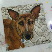 Carregar imagem no visualizador da galeria, Retratos de animais por encomenda