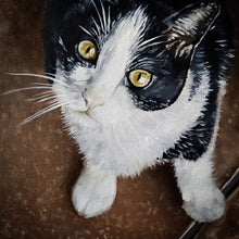 Carregar imagem no visualizador da galeria, Retratos de animais por encomenda