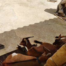 Carregar imagem no visualizador da galeria, 🎨 Atelier de Artes na Natureza – Mafra