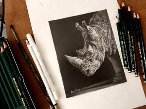 Desenhar o Rinoceronte de Java - Nível 4 (videoaula + sessão online em directo com professor)
